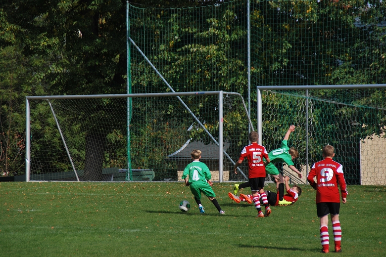 780x5205.ST Grimme-BSG 4.10 (82).JPG